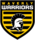 Waverly Warriors Soccer